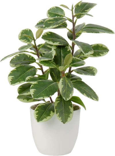 28 cm kunstplanten in pot voor woondecoratie, kunstmatige kamerplant, camellia, bloemstukken, thuis- en kantoordecoratie, desktop-bonsai, kunstplanten met potten, tafeldecoratie voor thuis, bal