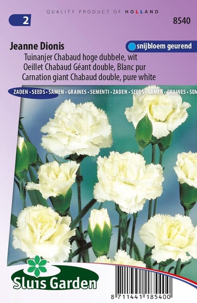 Sluis Garden - Tuinanjer, Anjer Chabaud Jeanne Dionis (Dianthus)