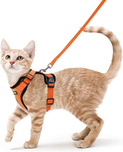 Kattentuig met riem Escape-proof kattenriem Kitten Puppy-tuigje Verstelbaar kattentuig Zacht borsttuig voor katten Kleine honden Konijnen Reflecterende strepen Oranje XS