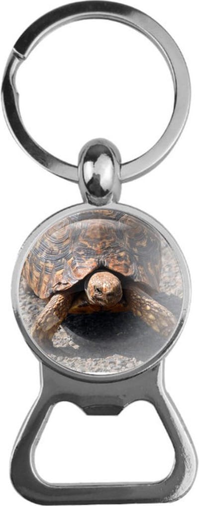 Bieropener Glas - Schildpad