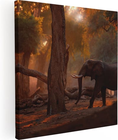 Artaza Canvas Schilderij Olifant - 80x80 cm - Wanddecoratie Dieren - Muurdecoratie Afrika - Schilderijen Op Canvas