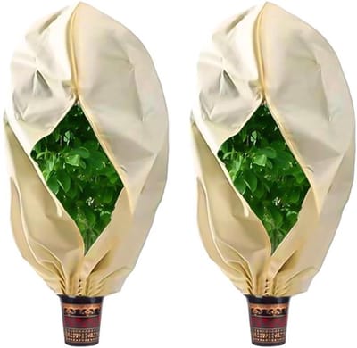 Allecto - Planten-vorstbeschermhoezen - Winterbescherming - Beige