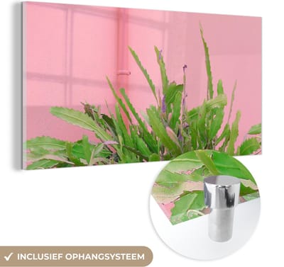 MuchoWow® Glasschilderij 40x20 cm - Schilderij acrylglas - Plant - Zomer - Roze - Foto op glas - Schilderijen