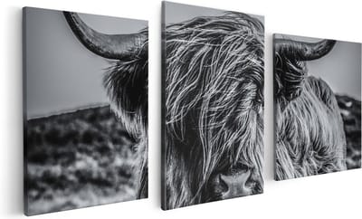 Artaza Canvas Schilderij Drieluik Schotse Hooglander Koe - Zwart Wit - 120x60 cm - Wanddecoratie Woonkamer - Schilderijen - Muurdecoratie