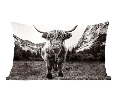 Sierkussens - Kussentjes Woonkamer - 60x40 cm - Berg - Zwart - Wit - Schotse Hooglander
