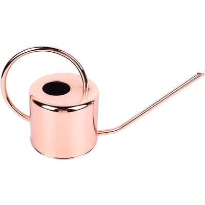 Arrosoir Acier Inoxydable Grande Capacité Rétro Petit Bec Long Arrosoir pour Maison Jardin beige