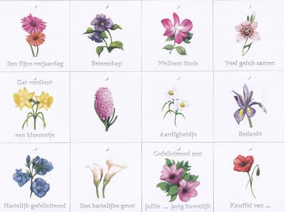 Bloemenkaartjes - 300 Stuks - Mini Kaartjes - 7 x 7 cm - Bloemist - Kadootjes - 12 x 25 stuks - JK-001