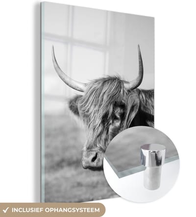 MuchoWow® Glasschilderij 120x160 cm - Schilderij acrylglas - Schotse Hooglander - Dieren - Zwart - Wit - Foto op glas - Schilderijen