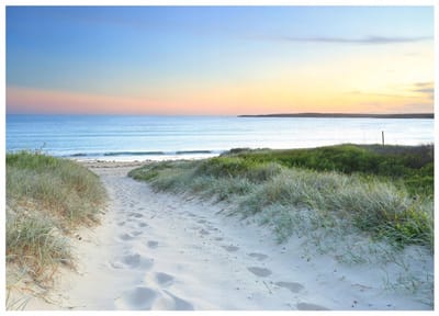 WALLARENA - Fotobehang - 150x105 cm - Fototapete van een strand met zee en duinen voor de slaapkamer of woonkamer