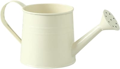 Gieter Kamerplanten - Waterkan Binnen - Planten Water Geven - Lange Nauwe Tuit - 1 Liter - Beige