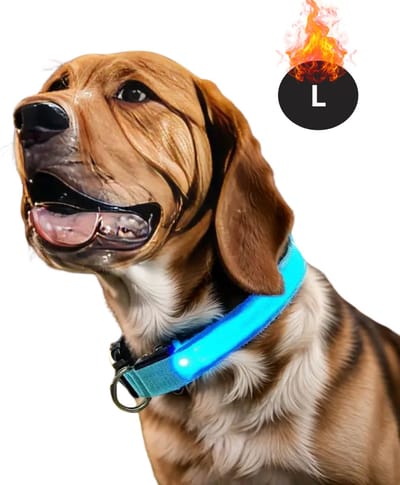 Bovista Lichtgevende Halsband - Verlichte Halsband - Lichtgevend - Hond - Kat - Lampje - Hondenhalsband Led - Oplaadbaar - Glow In The Dark - Blauw - L