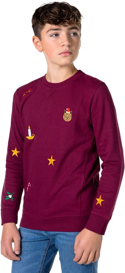 OppoSuits Deluxe X-Mas Icons - Burgundy Sweater - Tiener Kerst Sweater - Kersttrui - Kerst - Rood - Maat 14 Jaar