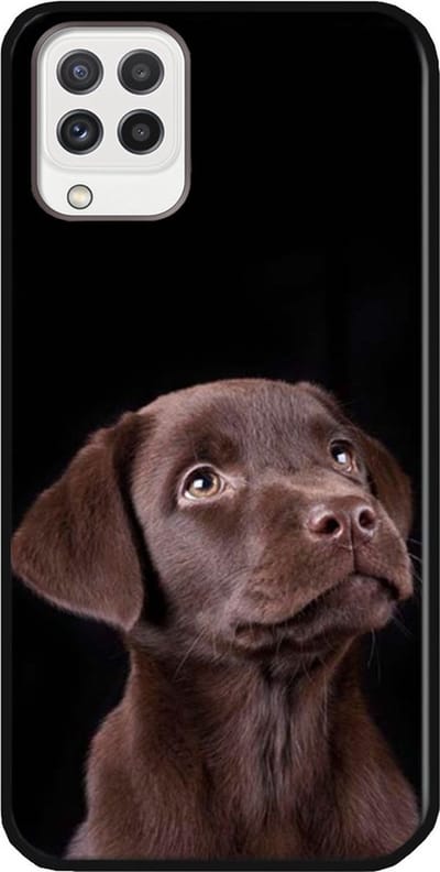 ADEL Siliconen Back Cover Softcase Hoesje Geschikt voor Samsung Galaxy M22/ A22 (4G) - Labrador Retriever Hond Bruin