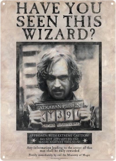 Harry Potter "Wanted Have You Seen This Wizard" A3 Large Steel Sign