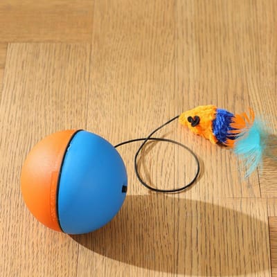 Kat Interactieve Bal Slimme Katspeeltjes Binnen Automatisch Rollende Magische Bal Elektronisch Interactief Katspeeltje Kat Spel Accessoires