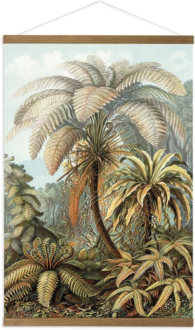 Hangende Poster Linnen Jungle Filicinae 100x70cm