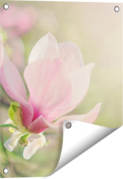 Gards Tuinposter Roze Magnolia Bloem - 40x50 cm - Tuindoek - Tuindecoratie - Wanddecoratie buiten - Tuinschilderij