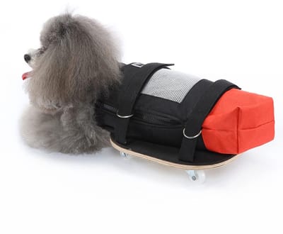 Jhubersproducts - Hondenkatrolstoel voor Achterbenen - Huisdierloopscooter - Stille Wielen - Compact en Lichtgewicht - Hondenhulp - Geschikt voor 2-3,