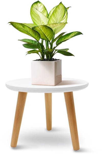 Dailygoods- Plantenstandaard Hout - Ronde Bloempotstandaard - 3 Poten - Voor Binnen/Buiten - 22 x 28 cm - Wit