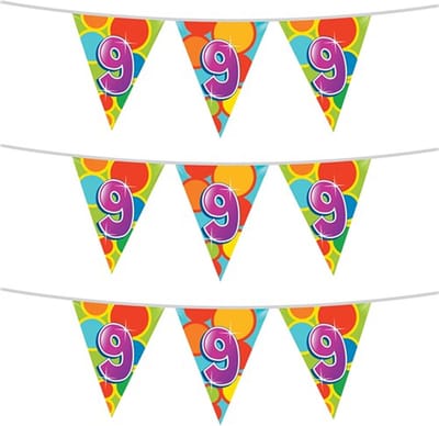 Haza Vlaggetjes 9 jaar - leeftijd verjaardag - 3x stuks - plastic 10m