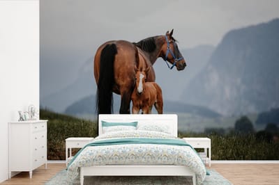 Behang - Fotobehang Paard - Veulen - Berg - Breedte 330 cm x hoogte 220 cm