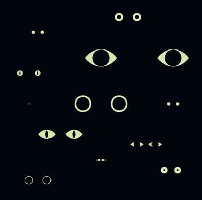 Christina Bjørkøe - Animal Universe (CD)