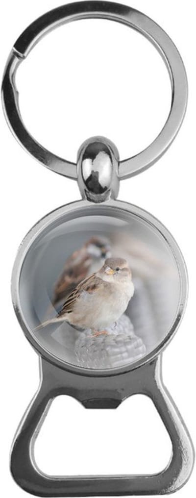 Bieropener Glas - Vogel