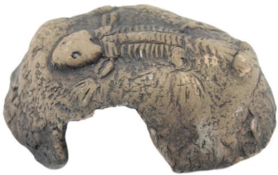 Ceramicnature Aquarium-fossiel 8 X 6 Cm Keramiek Bruin