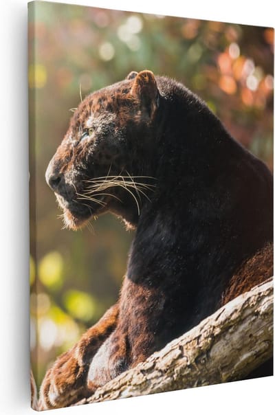 Artaza Canvas Schilderij Zwarte Panter - 80x100 cm - Groot - Wanddecoratie Dieren - Muurdecoratie Jungle - Schilderijen Op Canvas