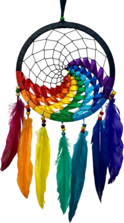 Dromenvanger wave regenboog / zwart 22 cm