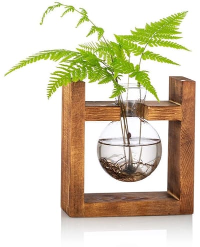 Dailygoods- Plantenbak met Houten Rek - Terrariumpot - Bolvaas - Waterplantenstandhouder - Geschikt voor Thuis - Glazen Design - Vaas