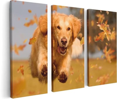 Artaza Canvas Schilderij Drieluik Golden Retriever Hond In De Herfst Bladeren - 120x80 - Foto Op Canvas - Canvas Print