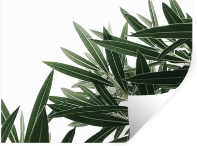Muurstickers - Sticker Folie - Natuur - Planten - Bladeren - 40x30 cm - Plakfolie - Muurstickers Kinderkamer - Zelfklevend Behang - Zelfklevend behangpapier - Stickerfolie
