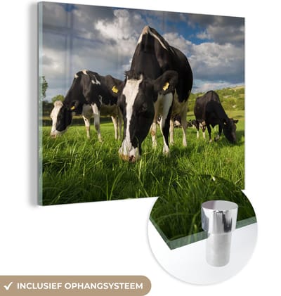 MuchoWow® Glasschilderij 40x30 cm - Schilderij acrylglas - Koeien - Dieren - Gras - Weiland - Boerderij - Foto op glas - Schilderijen