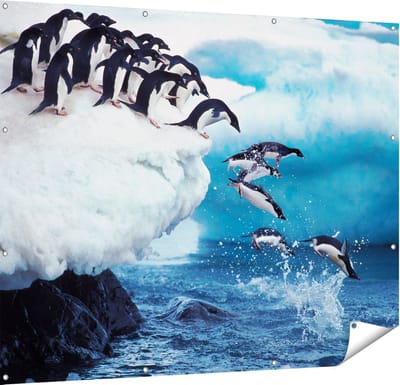 Gards Tuinposter Kudde Pingu�ns Springen vanaf een Rots - 150x120 cm - Tuindoek - Tuindecoratie - Wanddecoratie buiten - Tuinschilderij