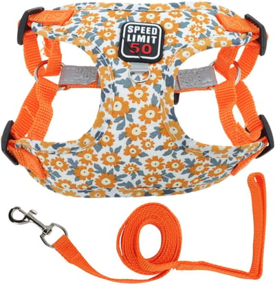 Dailygoods- Hondenharnas Verstelbaar - Harnas/Lijnset - Reflecterende Strepen - Veilig Vergrendelingssysteem - Comfortabel Polyester/Katoen - Voor Kleine/Middelgrote Honden - Hondentuig