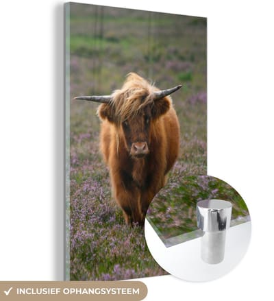 MuchoWow® Glasschilderij 100x150 cm - Schilderij acrylglas - Schotse Hooglander - Heide - Dieren - Foto op glas - Schilderijen