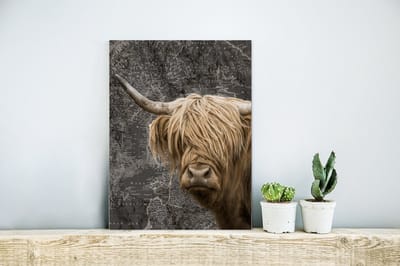 Aluminium schilderij 30x40 cm - Wanddecoratie metaal - Schotse hooglander - Wereldkaart - Dieren - Metalen muurdecoratie woonkamer - Decoratie industrieel - Foto op dibond - Industriële accessoires slaapkamer