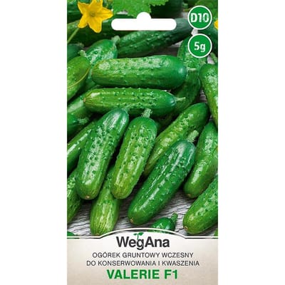 Concombre mariné des champs Valerie F1 5g graines de légumes - WegAna