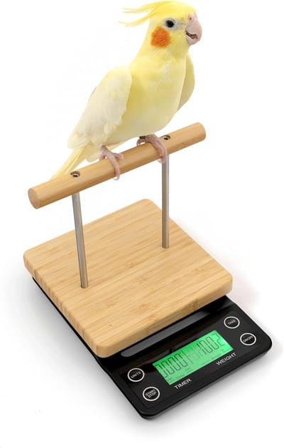 Vogelweegschaal met Zitstok voor Parkieten, Kanaries en Kleine Papegaaien