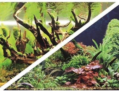 Hobby Foto Achterwand Green Secret/Wood Island 50CM x 25M
