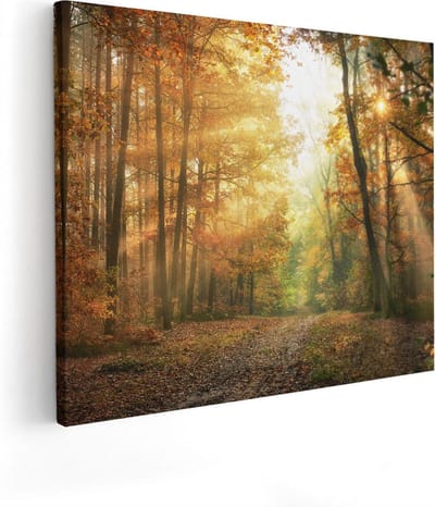 Artaza Canvas Schilderij Bos - 100x80 cm - Groot - Wanddecoratie Herfst - Muurdecoratie Landschap - Schilderijen Op Canvas Natuur