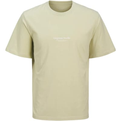 JACK&JONES JORVESTERBRO TEE SS CREW NECK NOOS Heren T-shirt - Celadon Tint
