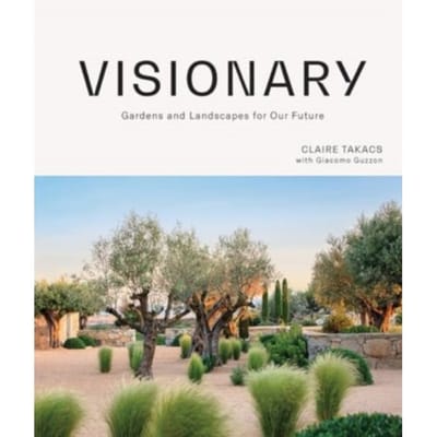 Visionary - Claire Takacs