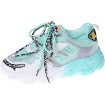 Chunky Sneakers Dames Ademende Hardloopschoenen Mode Regenboog Papa Mesh Platform Dames Casual Platte 35 blauw