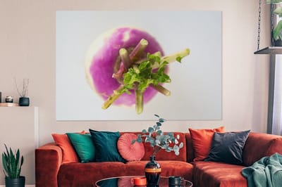 Canvas schilderij 150x100 cm - Wanddecoratie Een kleurrijke knolraap met een lichtgrijze achtergrond - Muurdecoratie woonkamer - Slaapkamer decoratie - Kamer accessoires - Schilderijen
