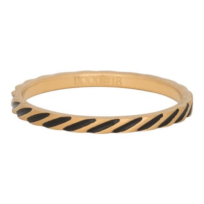 iXXXi Vulring 2mm Slanting stripes ring Mat Goudkleurig - maat 20
