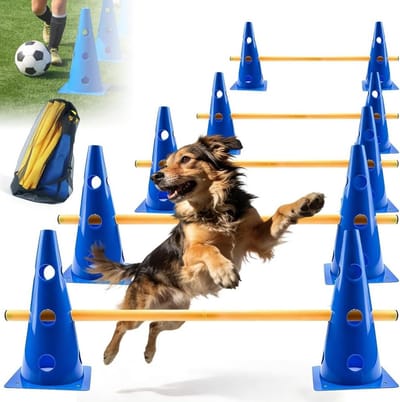 Agility Trainingsset voor Honden, 10 Pylonen en 5 Verstelbare Stangen voor Kinderen, Ideaal voor Behendigheid en Coördinatie Oefeningen