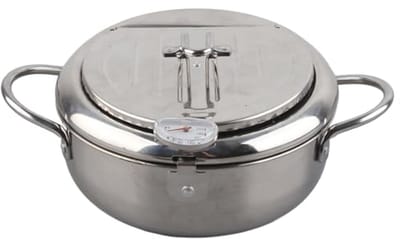 Roestvrijstalen Frituurpan - Friteuse Keukengerei - Lekker Frituren - Inductie Geschikt - 20 Cm Diameter - Zilverkleurig