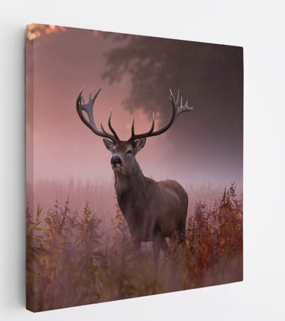 Saammp Canvas Schilderij - hert met zonsopgang in de mist - Natuur - Dieren - 20x20 - Foto op canvas - Wanddecoratie - Muurdecoratie Woonkamer - Slaapkamer decoratie - Canvas Print